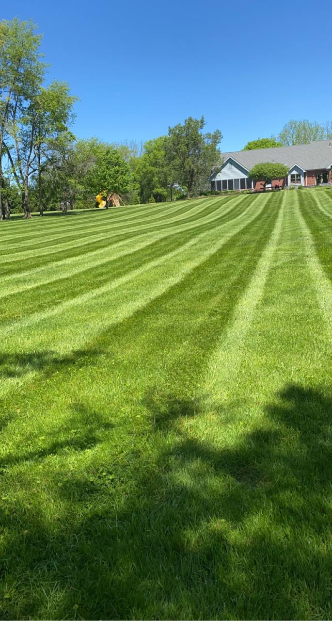 Large Backyard Stripes