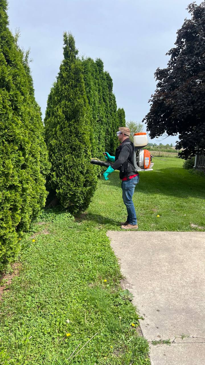Technician Treating Landscape