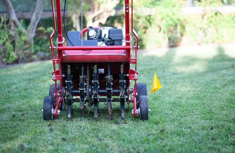 aerating lawn