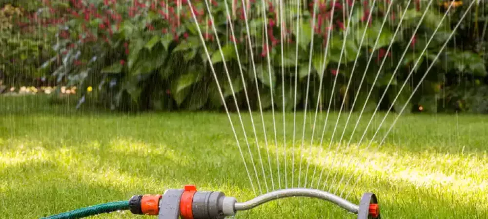 hose-sprintkler-water-lawn