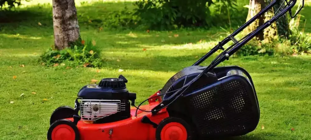 lawn-mower