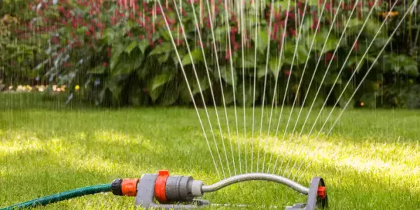 hose-sprintkler-water-lawn