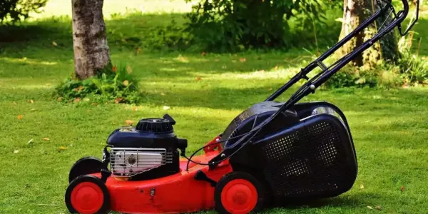 lawn-mower